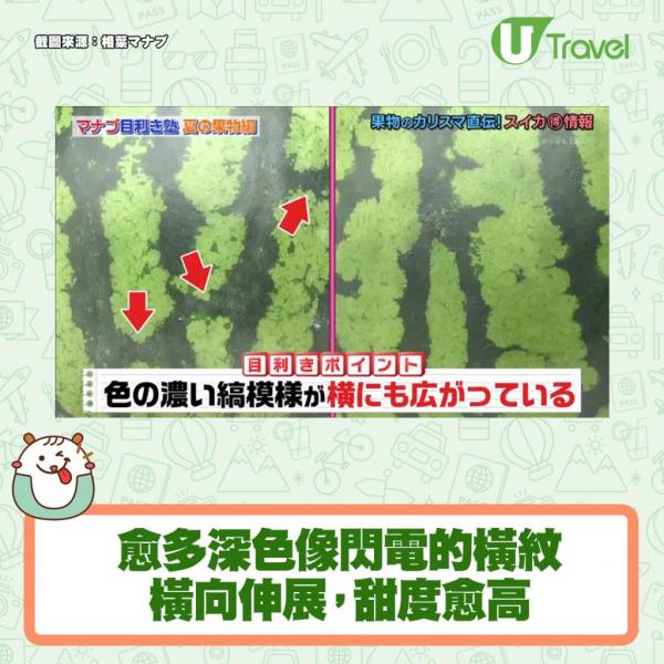 1.首先將西瓜放穩，切走頂部和底部。西瓜的上下各切走約1cm。