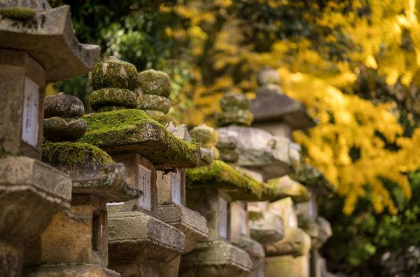 隈研吾設計 奈良最新溫泉酒店