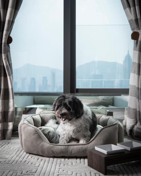 Rosewood 瑰麗酒店入住全攻略！