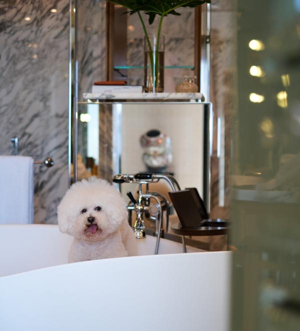 Rosewood 瑰麗酒店入住全攻略！