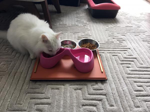 Rosewood 瑰麗酒店入住全攻略！