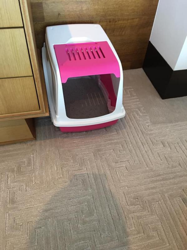 Rosewood 瑰麗酒店入住全攻略！