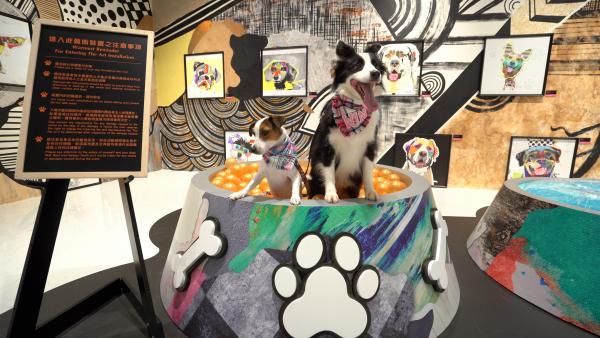 北角維港凱悅尚萃酒店 Hyatt Centric Staycation優惠 每人$606包早+自助午餐 歎維港景色Infinity Pool！標準大床房