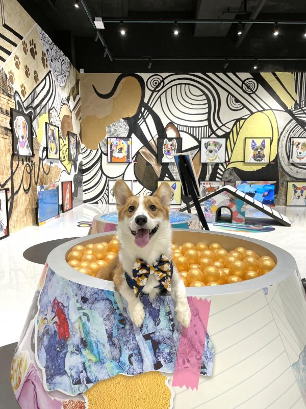 北角維港凱悅尚萃酒店 Hyatt Centric Staycation優惠 每人$606包早+自助午餐 歎維港景色Infinity Pool！標準大床房