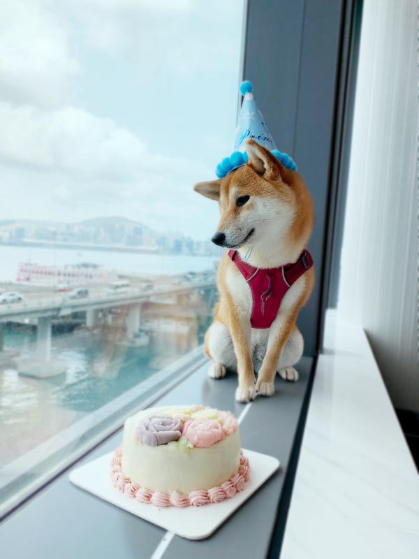 北角維港凱悅尚萃酒店 Hyatt Centric Staycation優惠 每人$606包早+自助午餐 歎維港景色Infinity Pool！標準大床房