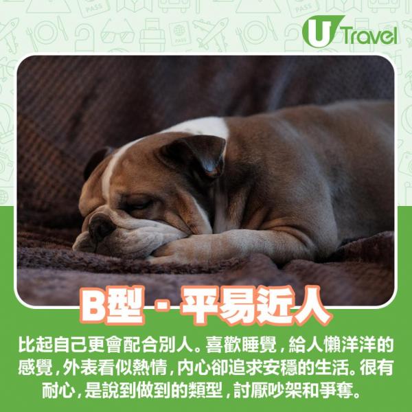 韓國人氣神準炸雞心理測驗 食雞部位測你真實性格！【雞胸：個性開朗】