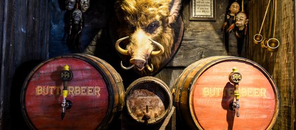 哈利波特的魔法世界(The Wizarding World of Harry Potter)