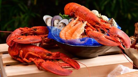 永安旅遊雙11優惠 諾富特世紀酒店包2餐低至4起、郵輪減0