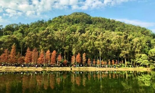 永安旅遊雙11優惠 諾富特世紀酒店包2餐低至4起、郵輪減0