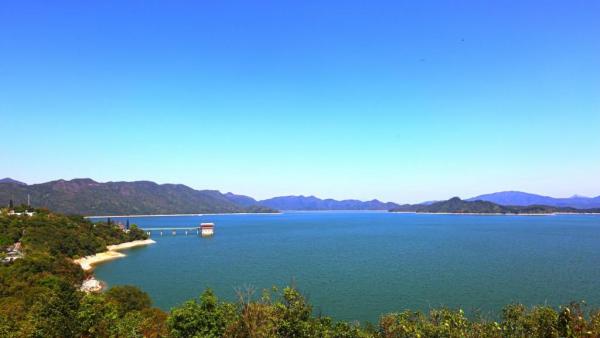 5條大埔區簡易行山路線推介 最快1小時完成！烏蚊騰郊遊徑/大美督/馬屎洲/大埔滘/八仙嶺自然教育徑