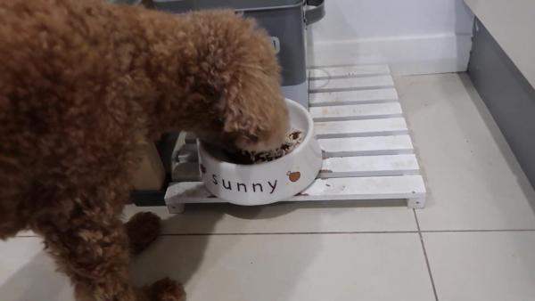 澳洲生活費要幾多錢？ 移澳港人公開悉尼一星期生活開支（附3大超市慳錢貼士）