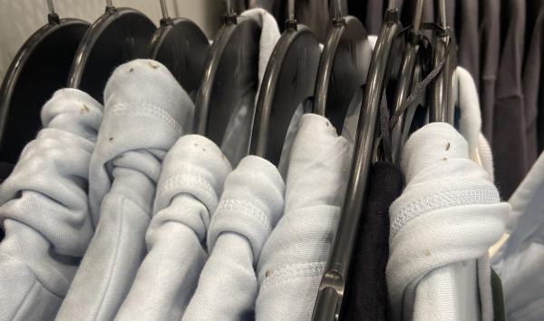 美國H&M員工爆店內衛衣有蝨！ 涉事店舖停業調查