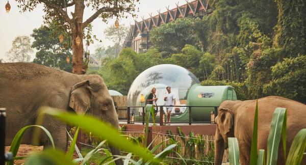 不騎、不摸新式保育大象 仲可以浪漫睇星！ 泰國清萊超夢幻玻璃屋酒店