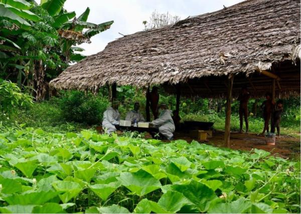 亞馬遜部落往返接種站需12小時 原住民孝子揹父徒步穿越雨林打疫苗
