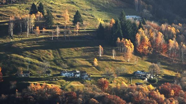 瑞士推HK買房上車計劃 符合2大條件即做業主