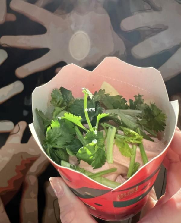 內地麥當勞推新品芫荽麥旋風 網民心急自製率先試食