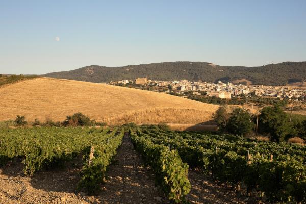 Airbnb全球招募民宿主人 一年免費住意大利西西里三層獨立屋兼收租