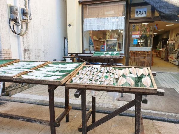 【袋住先日本旅遊資訊】九州西海岸遊車河！ 5條絕美自駕遊路線