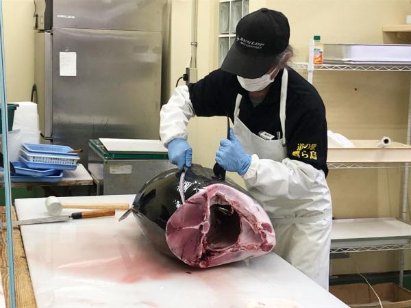 【袋住先日本旅遊資訊】九州西海岸遊車河！ 5條絕美自駕遊路線