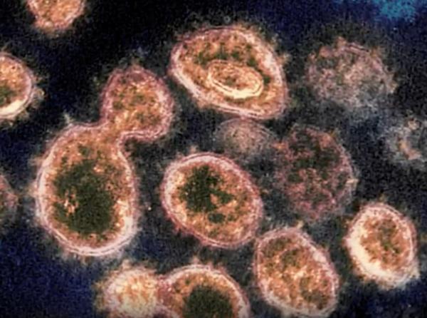 Omicron現新變異株 專家指新特性恐加快傳播速度