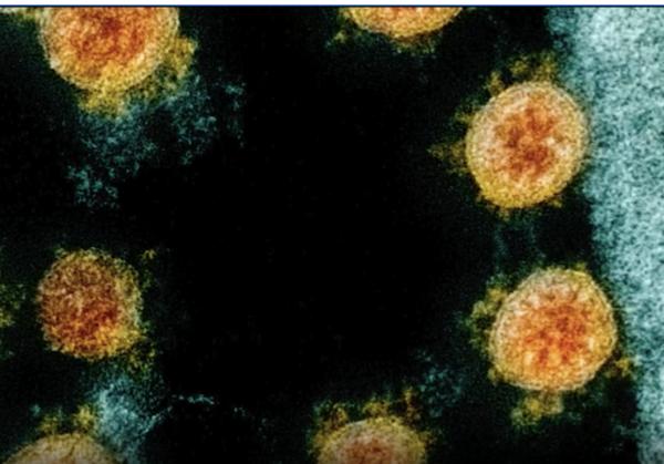 Omicron現新變異株 專家指新特性恐加快傳播速度