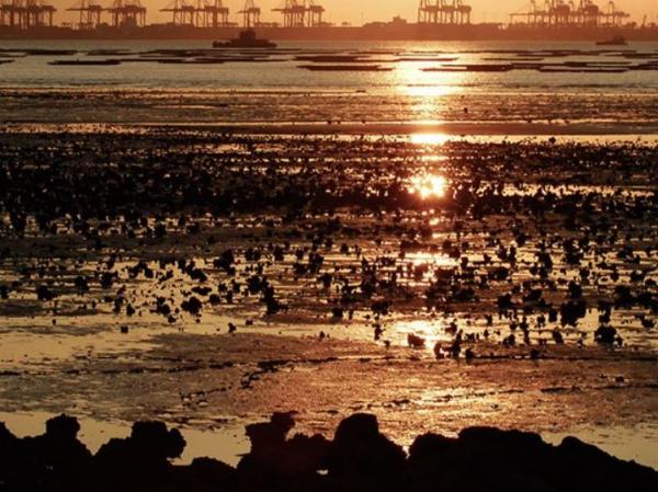 【虎年運程2022】雲文子12生肖行大運方位 本地遊行大運景點推介