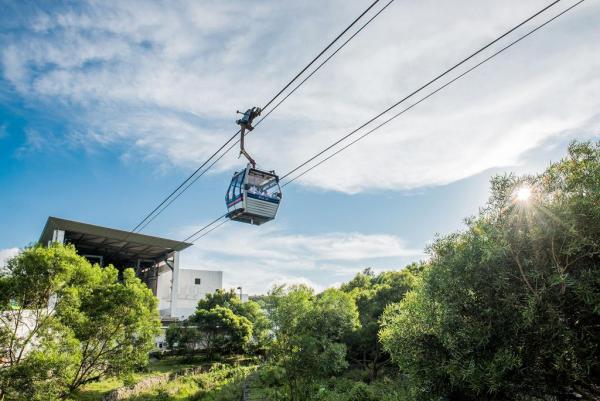 【虎年運程2022】雲文子12生肖行大運方位 本地遊行大運景點推介