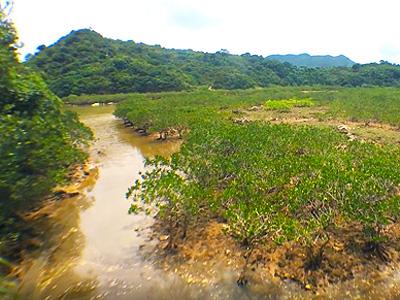 【虎年運程2022】雲文子12生肖行大運方位 本地遊行大運景點推介