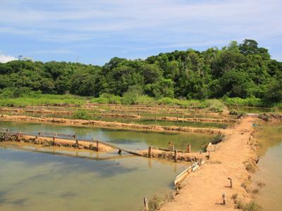 【虎年運程2022】雲文子12生肖行大運方位 本地遊行大運景點推介