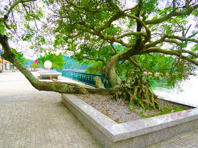 【虎年運程2022】雲文子12生肖行大運方位 本地遊行大運景點推介