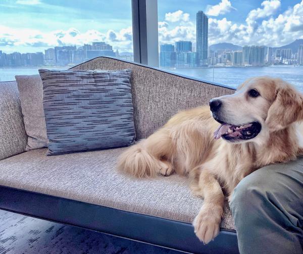 12大酒店情人節Staycation優惠（持續更新） 豪華轎車接送/復古菲林攝影體驗/免費鮮花束