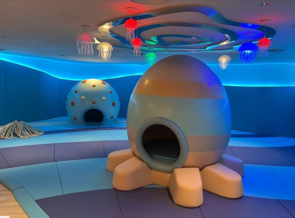 記者率先直擊香港富麗敦海洋公園酒店 全部海景房＋獨立泳池套房+酒店設施