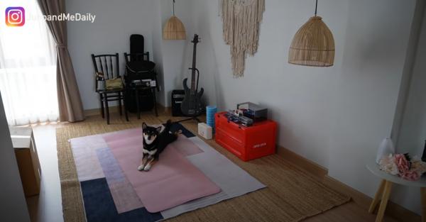 圖片來源︰YouTube@Juno&me泰國遊牧記