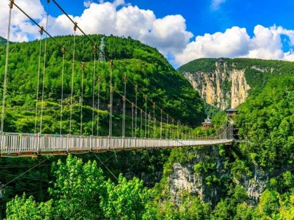 圖片來源：搜孤 