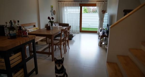 圖片來源︰YouTube@Juno&me泰國遊牧記