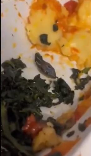 土耳其廉航飛機餐現完整蛇頭 供應商拒承認責任