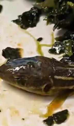 土耳其廉航飛機餐現完整蛇頭 供應商拒承認責任