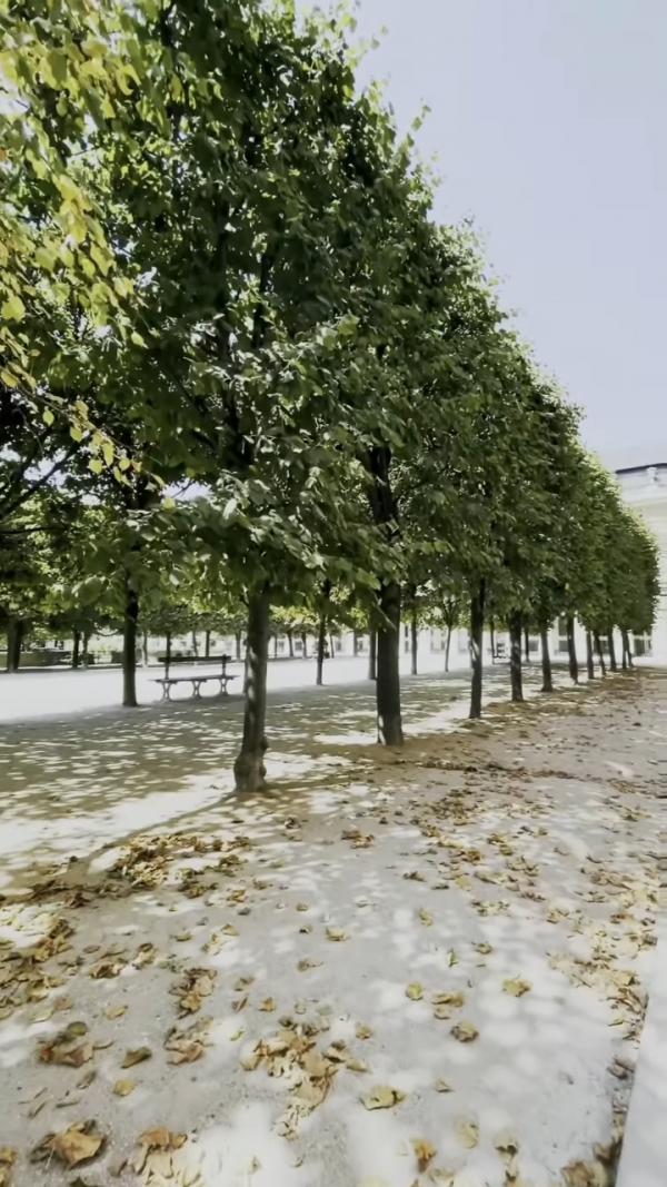 50歲黎姿飛巴黎歎少奶奶生活 IG大曬逆齡打卡照 鐵塔下回春似少女