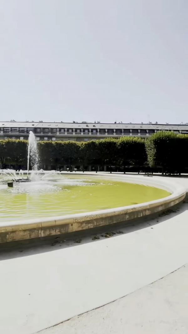 50歲黎姿飛巴黎歎少奶奶生活 IG大曬逆齡打卡照 鐵塔下回春似少女