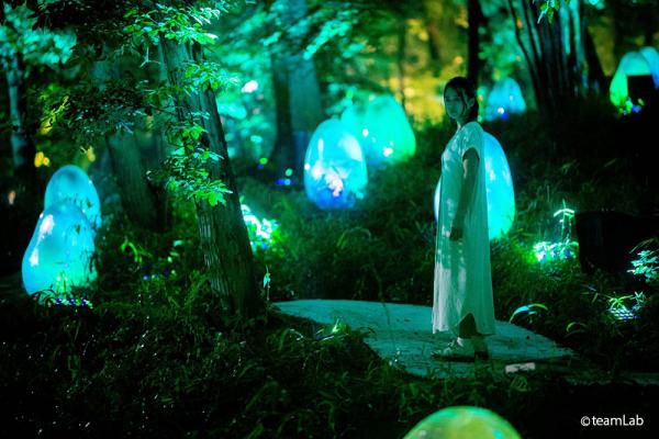 【日本出埠計劃】東京近郊避世遊 探訪埼玉縣大自然隱世景點好去處 