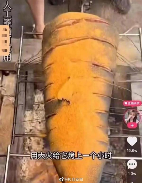 內地網紅搏出位食大白鯊遭拘捕 被踢爆屬國家二級保護動物