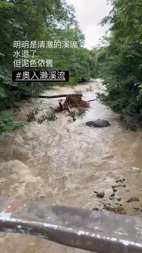 圖片來源︰Instagram@_bowiecheung