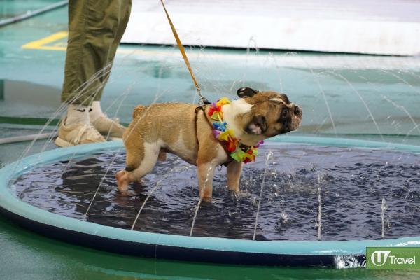 港版偽泰國一日遊｜香港潑水節D2Place開鑼 水戰派對/泰式小食/特色工作坊