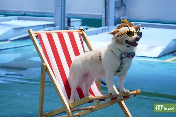 港版偽泰國一日遊｜香港潑水節D2Place開鑼 水戰派對/泰式小食/特色工作坊