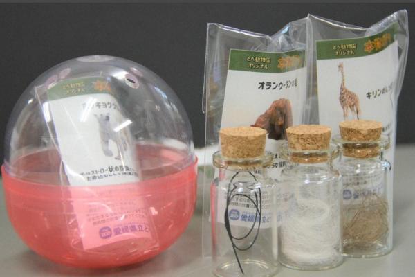 日本動物園推「動物體毛扭蛋」 5款稀有毛髮＋未公開神秘動物 2日內火速售罄！