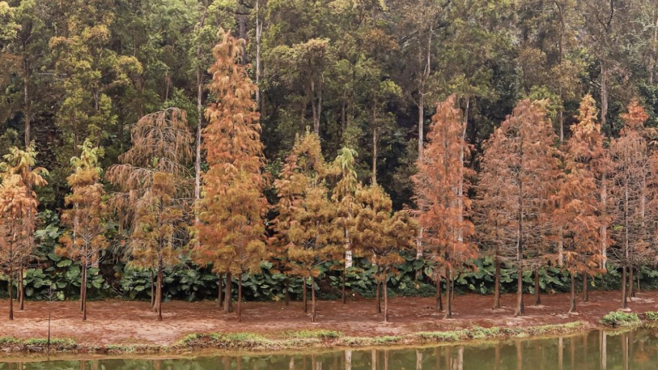 TEST Embed Threads 字post @UT